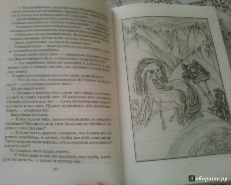 Иллюстрация 23 из 31 для Народные сказки балкарцев и карачаевцев | Лабиринт - книги. Источник: Родионова  Надежда