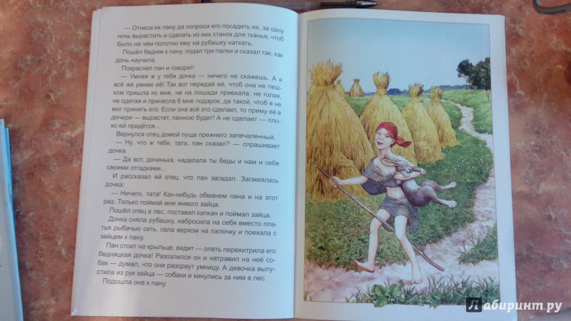 Иллюстрация 16 из 27 для Разумная дочь | Лабиринт - книги. Источник: Косова  Мария
