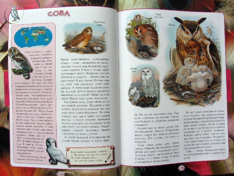 Иллюстрация 34 из 54 для Животный мир нашей планеты - Алексей Клиентов | Лабиринт - книги. Источник: Red cat ;)