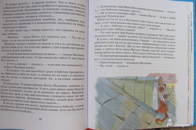 Иллюстрация 28 из 38 для Баранкин, будь человеком! - Валерий Медведев | Лабиринт - книги. Источник: Дашина мама