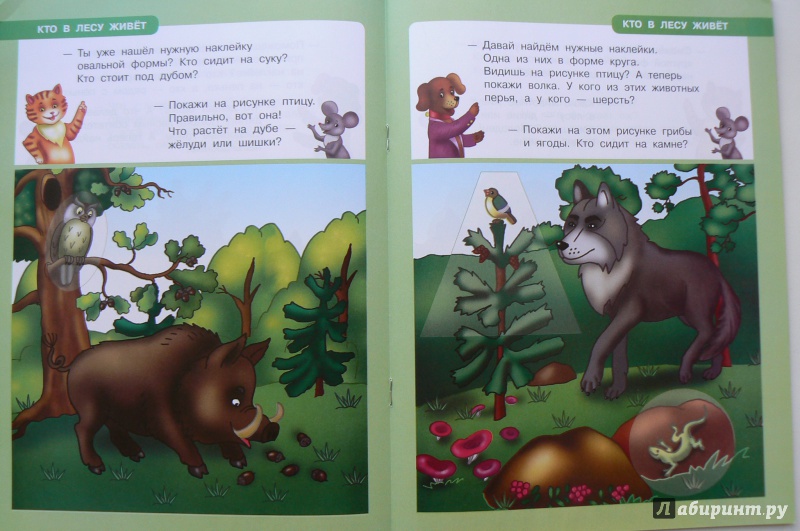 Иллюстрация 4 из 5 для Кто в лесу живет - Ольга Новиковская | Лабиринт - книги. Источник: Марина