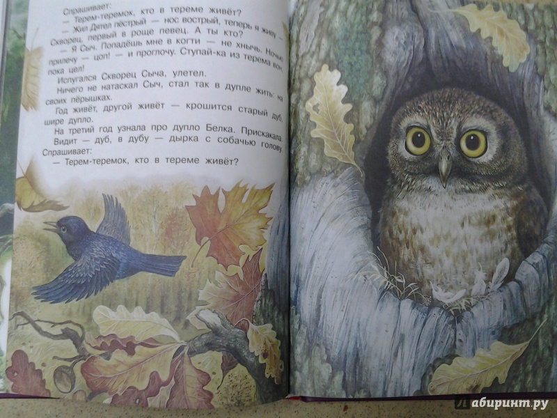 Иллюстрация 10 из 14 для Стихи, сказки, загадки для чтения детям - Бианки, Барто, Сладков, Берестов, Шим | Лабиринт - книги. Источник: Olga