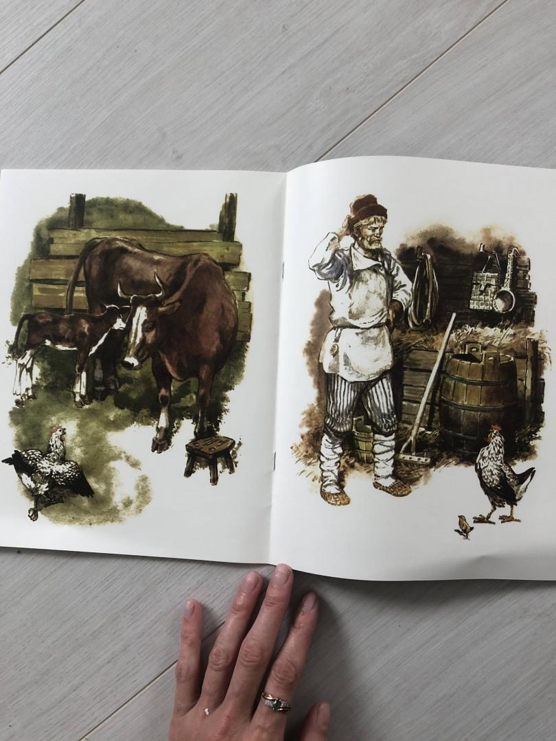 Иллюстрация 22 из 29 для Петушок и бобовое зёрнышко | Лабиринт - книги. Источник: Ки  Анастасия
