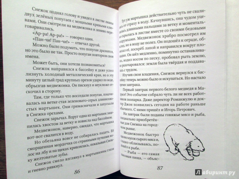 Иллюстрация 12 из 19 для Снежок - Сергей Баруздин | Лабиринт - книги. Источник: Зеленая шляпа