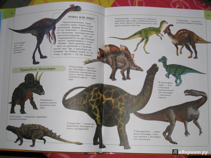 Иллюстрация 13 из 34 для Динозавры | Лабиринт - книги. Источник: vs