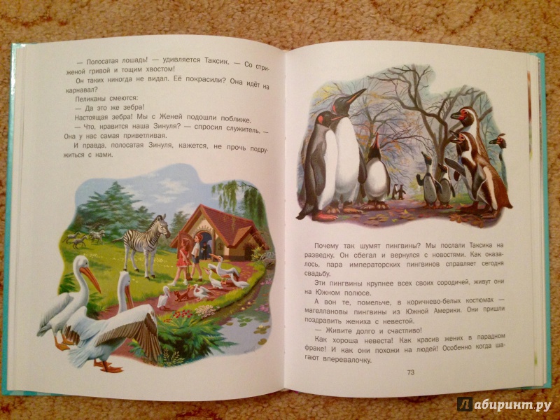 Иллюстрация 29 из 52 для Приключения Маруси - Жильбер Делаэ | Лабиринт - книги. Источник: Псевдоним