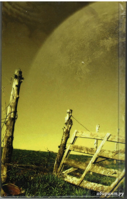 Иллюстрация 9 из 14 для Пыль на соломенных погонах - Андрей Ткачев | Лабиринт - книги. Источник: Маслова  Олеся