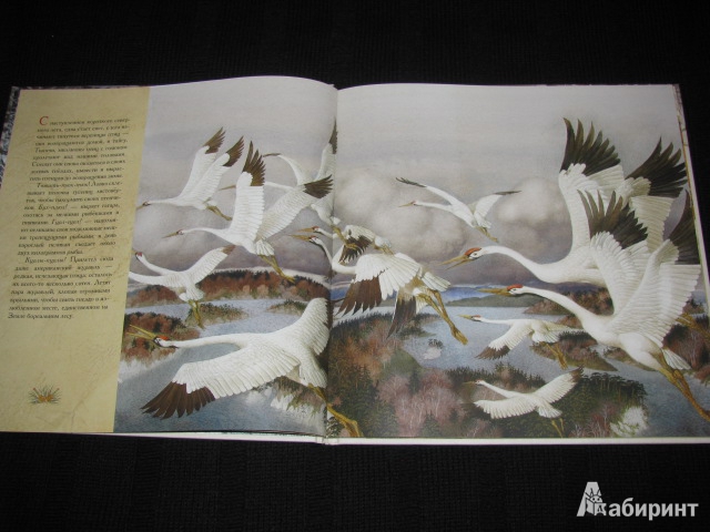 Иллюстрация 47 из 70 для Жизнь в тайге - Бренда Гиберсон | Лабиринт - книги. Источник: Nemertona