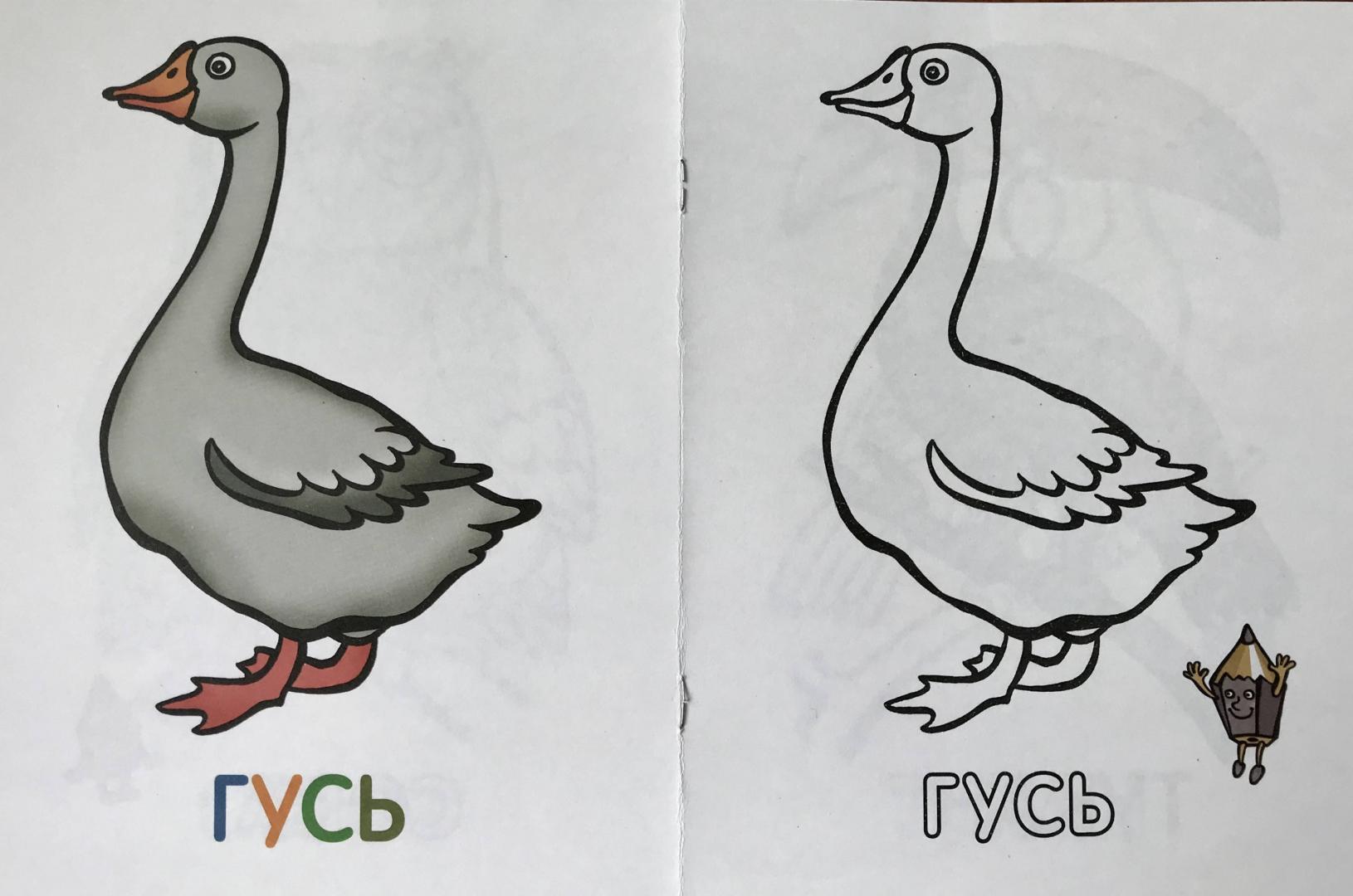 Иллюстрация 20 из 24 для Раскраска для малышей "Птицы" | Лабиринт - книги. Источник: Лабиринт