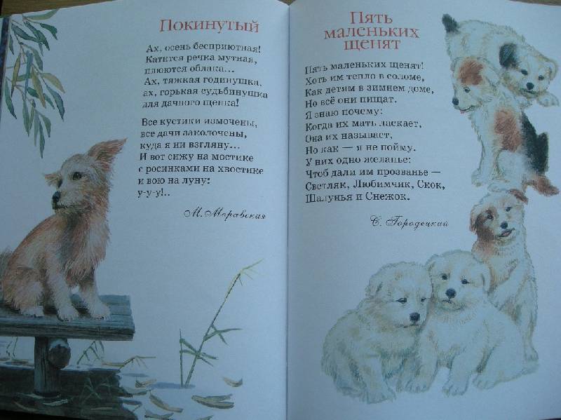 Иллюстрация 6 из 19 для Русские поэты - детям: Стихи | Лабиринт - книги. Источник: Мартынова  Анна Владимировна