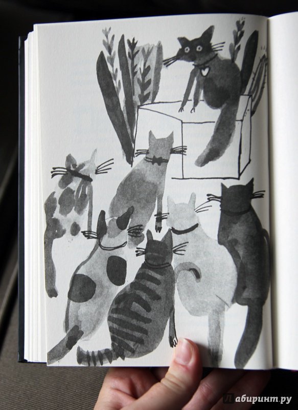 Иллюстрация 16 из 37 для Дневник кота-убийцы. Все истории - Энн Файн | Лабиринт - книги. Источник: Vera Grey