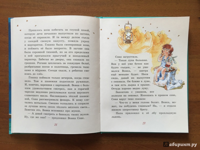 Иллюстрация 27 из 36 для Лунный жук - Анна Доброчасова | Лабиринт - книги. Источник: iam_O_K