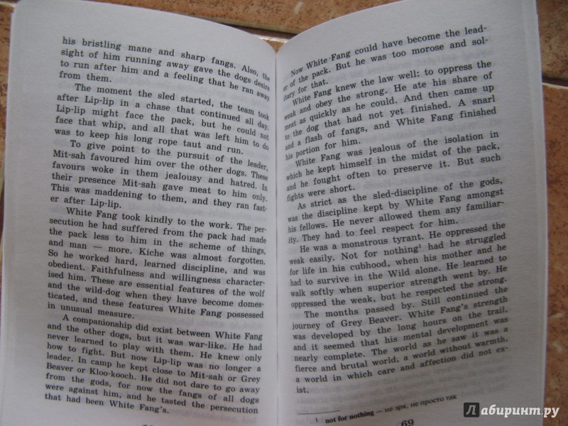 Иллюстрация 32 из 34 для Белый клык - Джек Лондон | Лабиринт - книги. Источник: Ольга