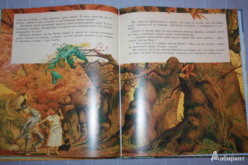 Иллюстрация 30 из 40 для Волшебник страны Оз - Лаймен Баум | Лабиринт - книги. Источник: Михайлова Алексия