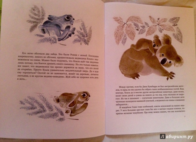 Иллюстрация 11 из 28 для Про ящеренка Гекко, который живет в Австралии - Шманкевич, Смирнов | Лабиринт - книги. Источник: Псевдоним