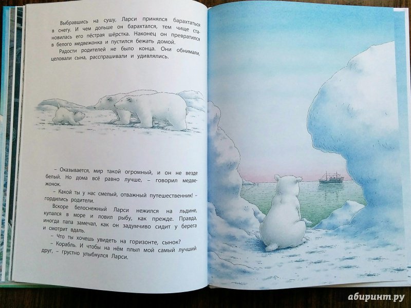 Иллюстрация 51 из 52 для Морское путешествие белого медвежонка - Беер Де | Лабиринт - книги. Источник: Natalie Leigh