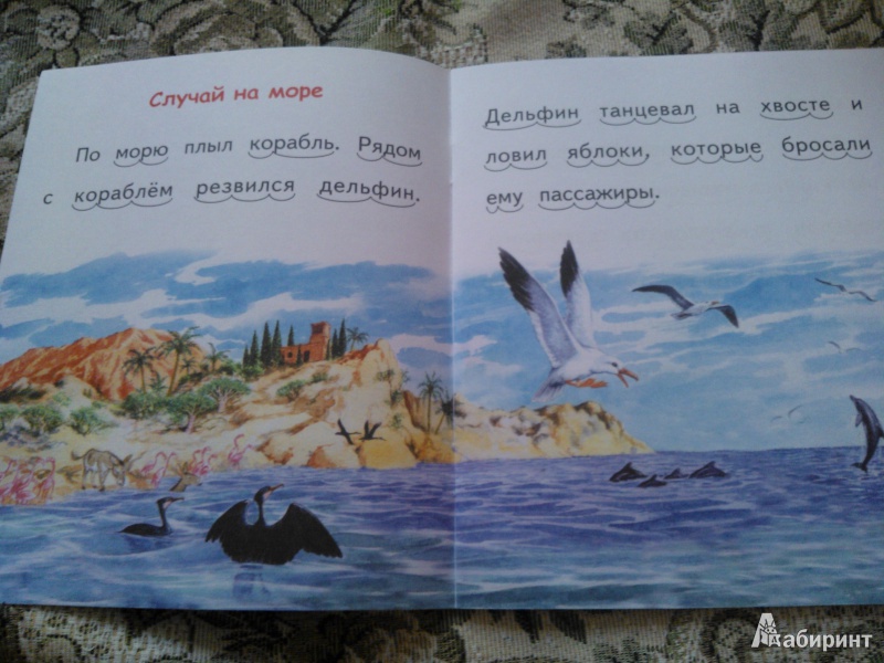 Иллюстрация 5 из 20 для Случай на море - Владимир Степанов | Лабиринт - книги. Источник: Вероника Руднева