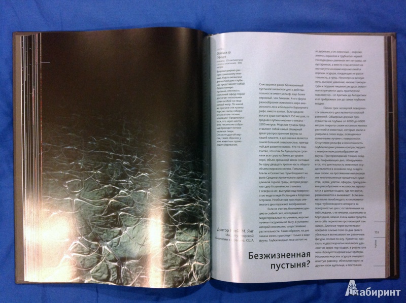Иллюстрация 21 из 31 для Глубина. Таинственный мир океанских пучин - Клер Нувиан | Лабиринт - книги. Источник: photo_grafo