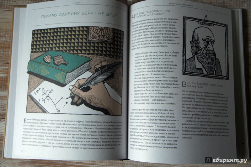 Иллюстрация 20 из 32 для Загадка жизни и грязные носки Йоса Гротьеса из Дрила - Ян Схюттен | Лабиринт - книги. Источник: belisama