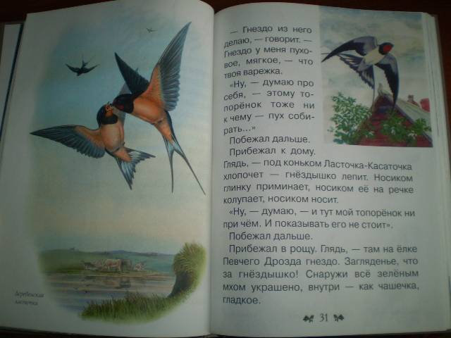 Иллюстрация 16 из 40 для Сказки и рассказы о животных - Виталий Бианки | Лабиринт - книги. Источник: С  М В