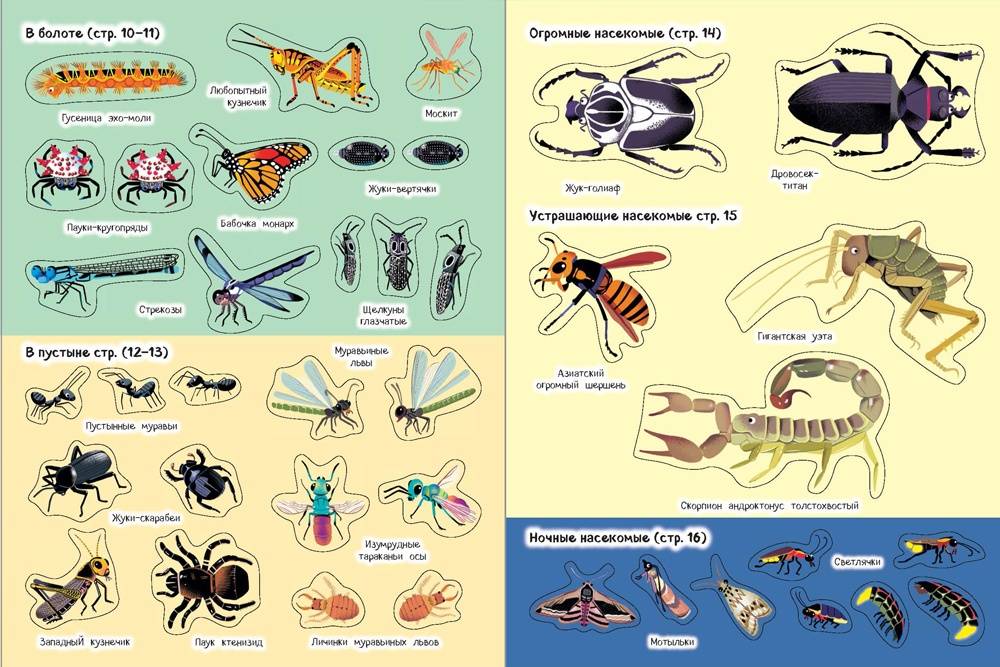 Виды насекомые список. Насекомые названия. Насекомые список названий. Насекомые перечень для детей. Летающие насекомые и их названия.