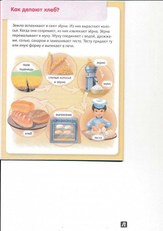 Иллюстрация 5 из 37 для Удивительные превращения. Как производят продукты питания - Марина Султанова | Лабиринт - книги. Источник: Террил