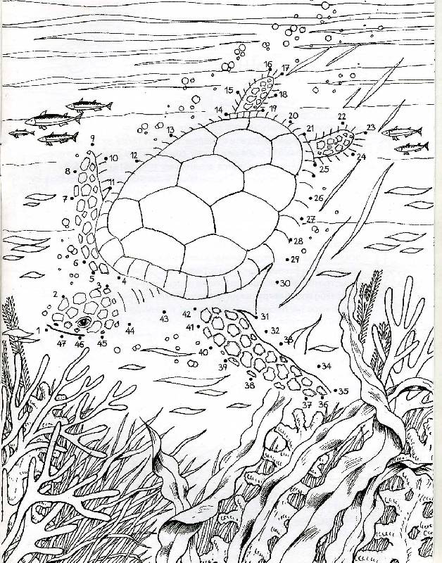 Иллюстрация 2 из 7 для Обитатели морских глубин. От точки к точке - Ольга Александрова | Лабиринт - книги. Источник: РИВА