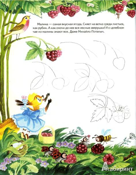 Иллюстрация 6 из 31 для Школа рисования. Шаг за шагом - Рузанна Адамянц | Лабиринт - книги. Источник: Низамутдинова  Олия