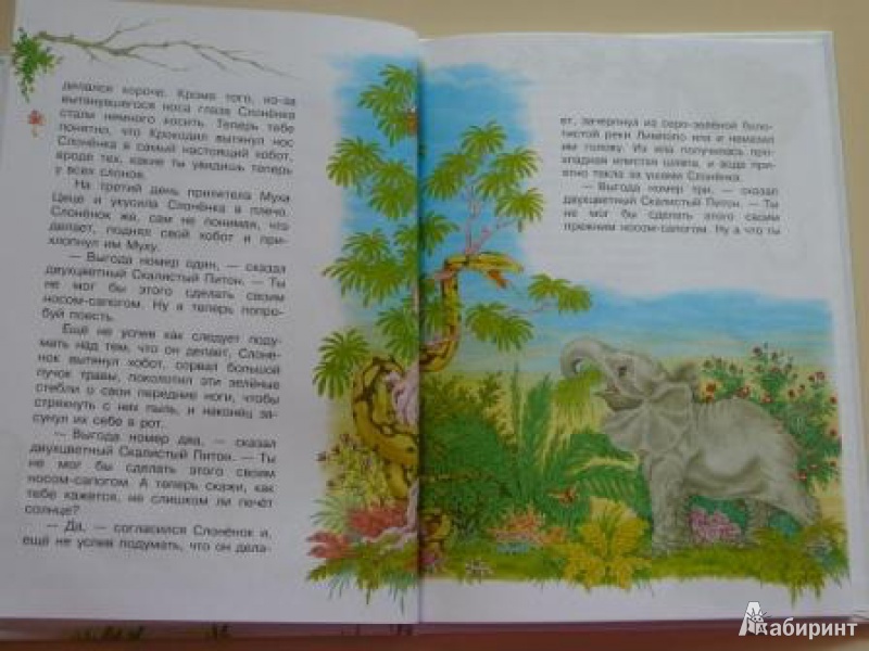 Иллюстрация 23 из 25 для Любопытный слоненок | Лабиринт - книги. Источник: Кирюшина  Татьяна Ивановна