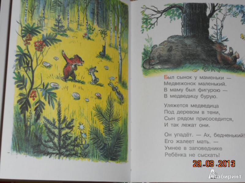Иллюстрация 9 из 33 для Стихи в картинках В. Сутеева | Лабиринт - книги. Источник: Поле-полюшко