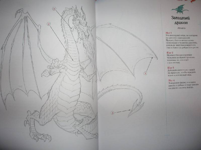 Иллюстрация 16 из 26 для Рисуем драконов - Хенсен, Бернс | Лабиринт - книги. Источник: Tiger.