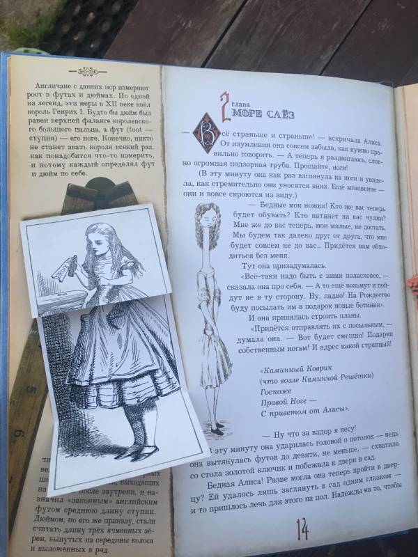 Иллюстрация 148 из 232 для Приключения Алисы в Стране Чудес - Льюис Кэрролл | Лабиринт - книги. Источник: Лабиринт