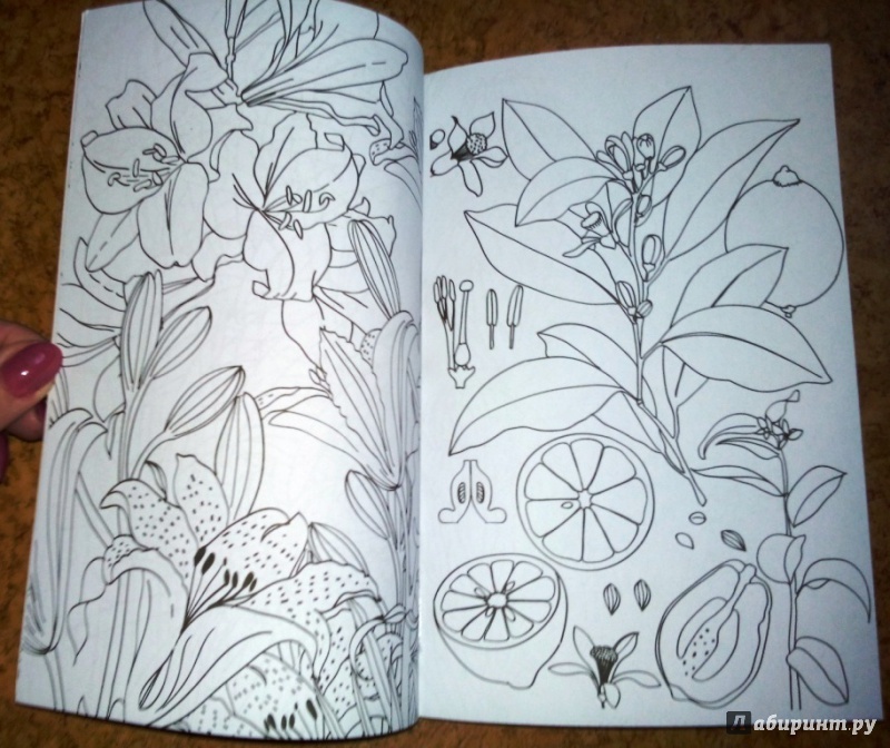 Иллюстрация 21 из 39 для Зачарованный сад. Мини-раскраска-антистресс | Лабиринт - книги. Источник: Snow 71