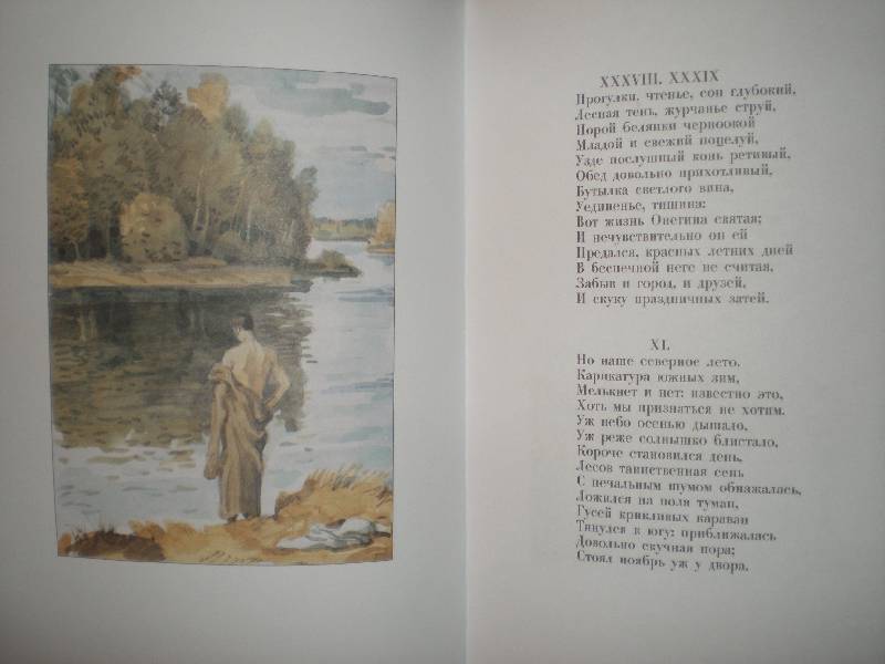 Иллюстрация 13 из 87 для Евгений Онегин - Александр Пушкин | Лабиринт - книги. Источник: Гостья