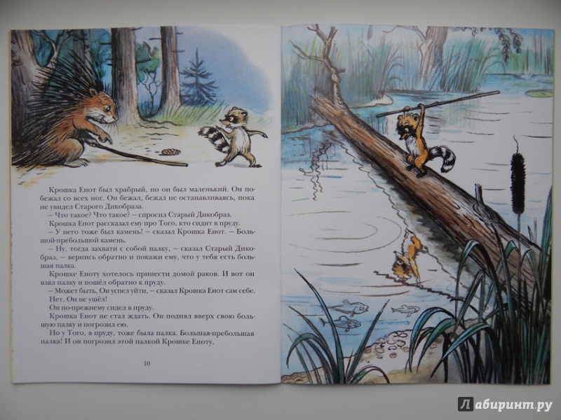 Иллюстрация 35 из 97 для Крошка Енот и тот, кто сидит в пруду - Лилиан Муур | Лабиринт - книги. Источник: Мелкова  Оксана