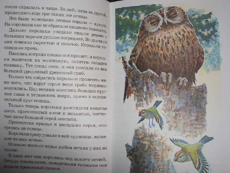 Иллюстрация 2 из 3 для Тайна ночного леса - Виталий Бианки | Лабиринт - книги. Источник: sher