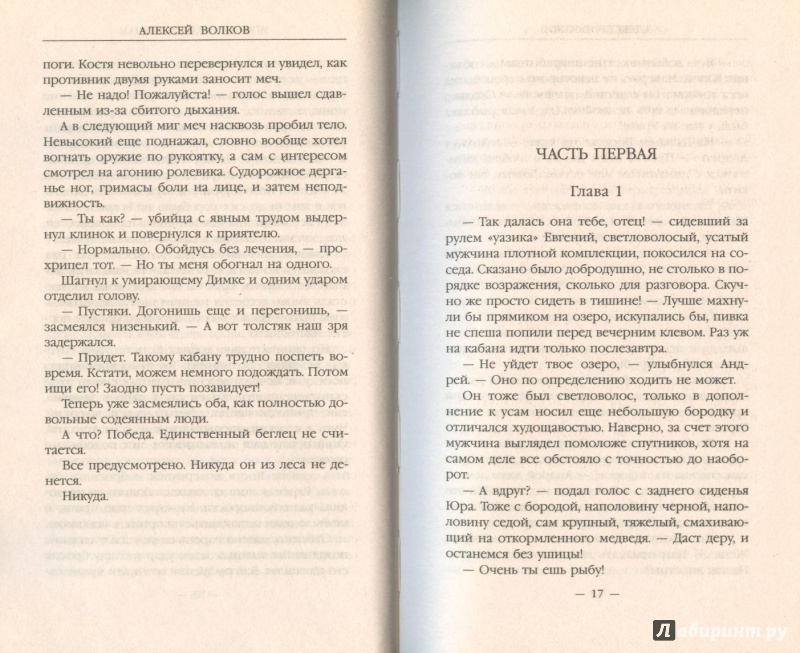 Иллюстрация 8 из 8 для Игра по чужим правилам - Алексей Волков | Лабиринт - книги. Источник: Яровая Ирина