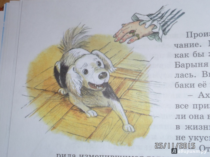 Иллюстрация 19 из 58 для Муму - Иван Тургенев | Лабиринт - книги. Источник: Зак  Елена Александровна