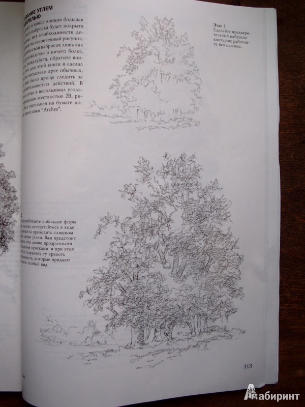 Иллюстрация 8 из 61 для Деревья - Стенли Молцмен | Лабиринт - книги. Источник: Kary