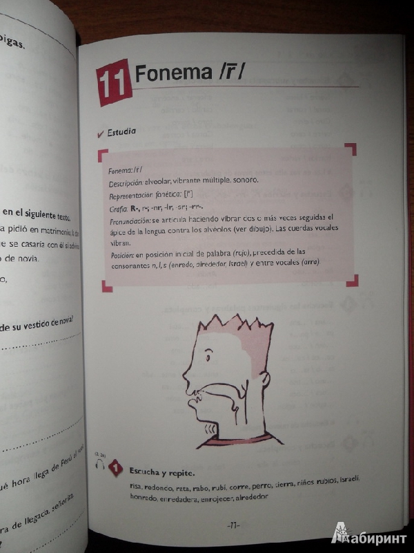 Иллюстрация 4 из 10 для Fonetica. Medio B1 +CD - Alvarez, Rodriguez | Лабиринт - книги. Источник: D