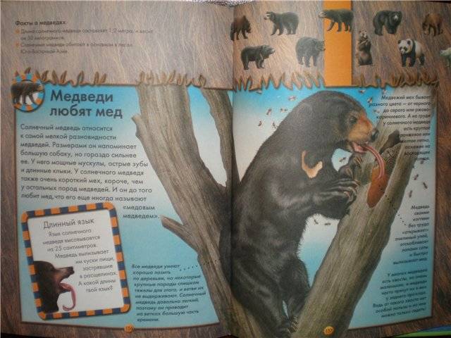 Иллюстрация 30 из 33 для Моя первая энциклопедия животных - Стив Паркер | Лабиринт - книги. Источник: Гостья