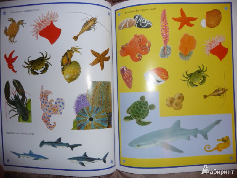 Иллюстрация 16 из 16 для Чудо-наклейки. Мир океана - Морис Пледжер | Лабиринт - книги. Источник: Anyta23