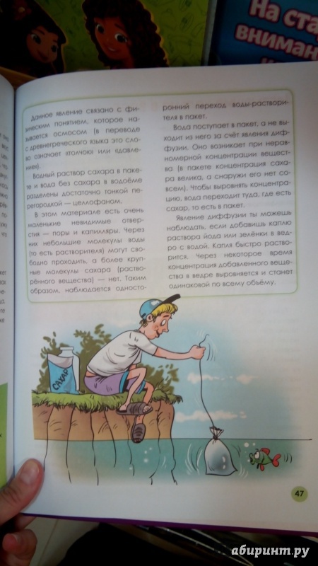 Иллюстрация 13 из 36 для Веселые научные опыты для детей и взрослых. Опыты на отдыхе - Виталий Зарапин | Лабиринт - книги. Источник: Мила