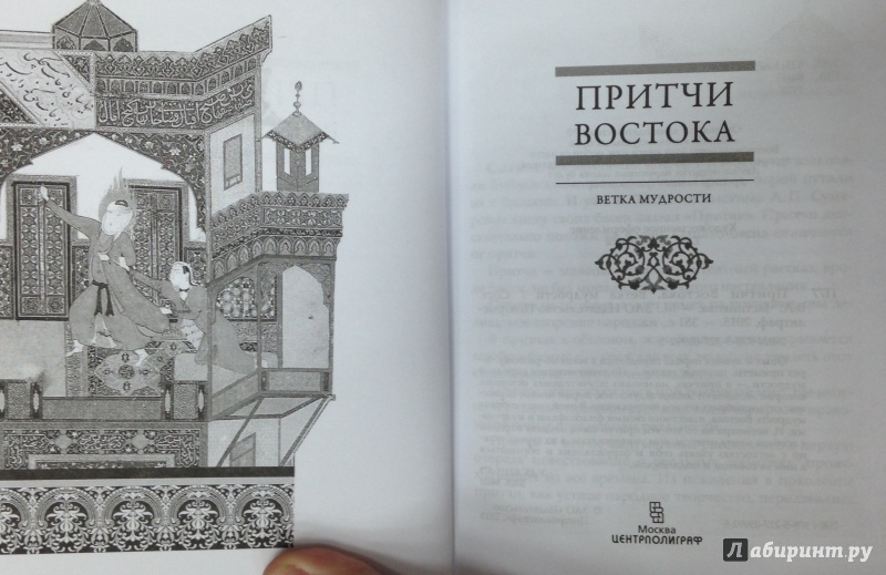 Иллюстрация 7 из 10 для Притчи Востока. Ветка мудрости | Лабиринт - книги. Источник: Tatiana Sheehan