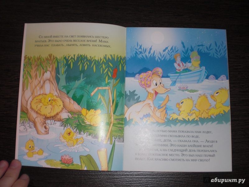 Иллюстрация 4 из 8 для Утёнок, который не боялся охотников | Лабиринт - книги. Источник: ДАРЁНА