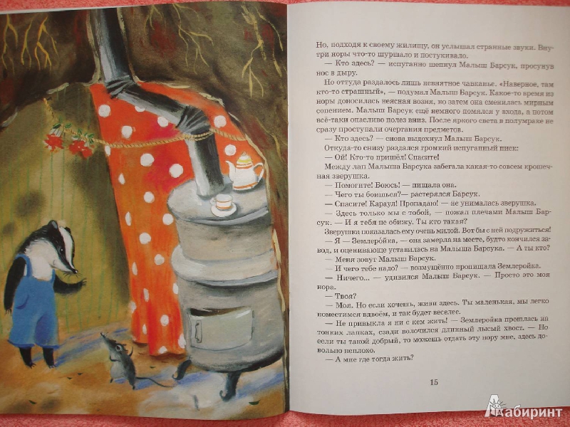 Иллюстрация 20 из 29 для Секрет дружбы - Ксения Беленкова | Лабиринт - книги. Источник: Сорокина  Лариса