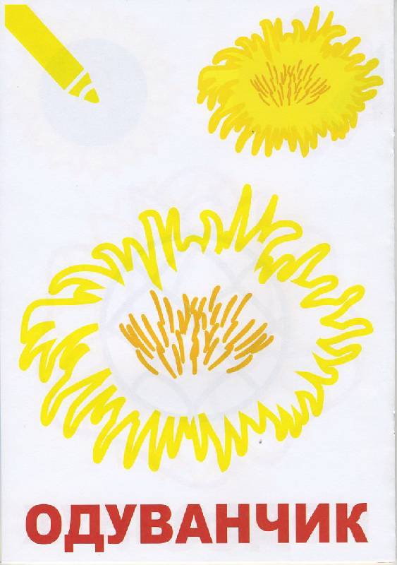 Иллюстрация 3 из 12 для Маленький художник:  Выпуск 11. Цветы | Лабиринт - книги. Источник: Pallada
