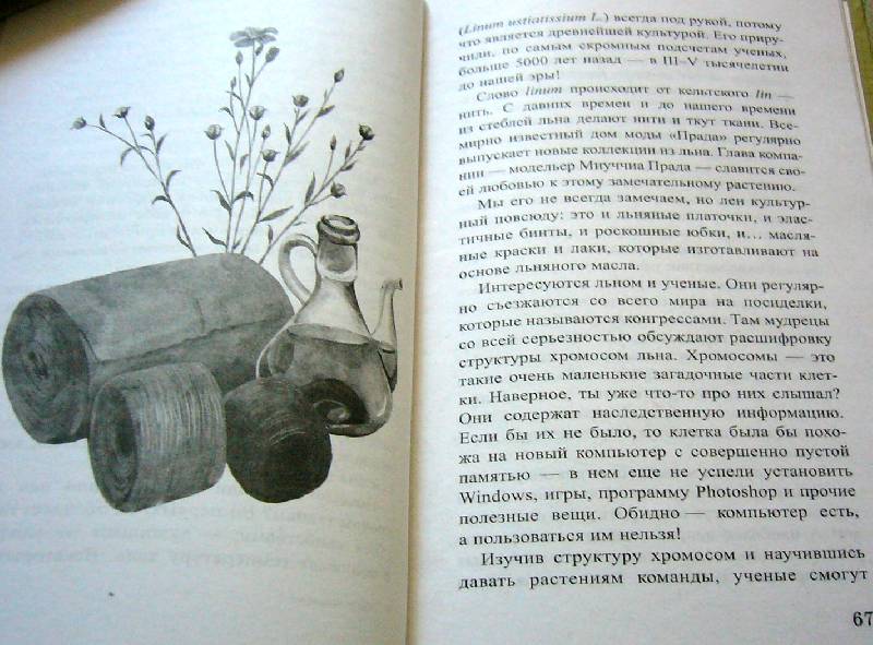 Иллюстрация 12 из 16 для Клад на подоконнике - Ольга Кувыкина | Лабиринт - книги. Источник: Nika