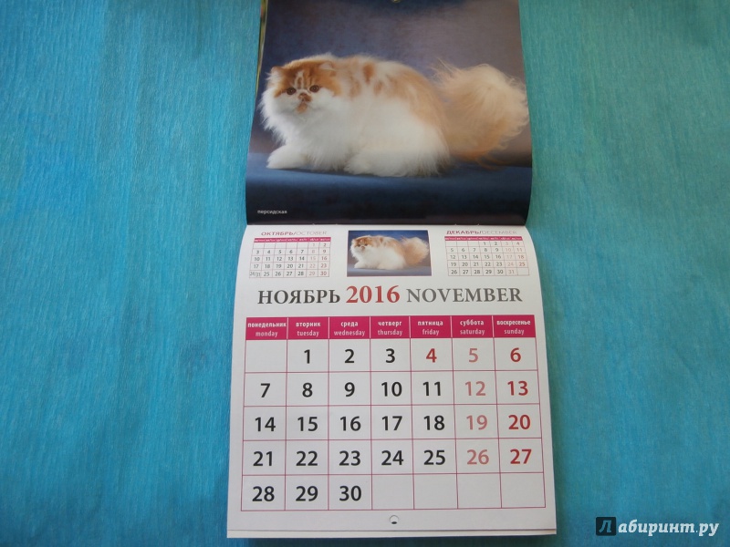 Иллюстрация 10 из 13 для Календарь настенный на 2016 год "Забавные котята" (30605) | Лабиринт - сувениры. Источник: Tiger.