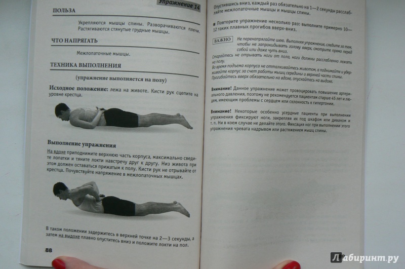 Иллюстрация 45 из 45 для Исправляем осанку. Универсальная лечебная гимнастика - Лана Палей | Лабиринт - книги. Источник: Марина